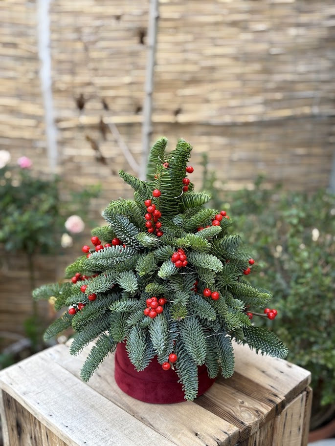 Mini Albero di Natale - I fiori di Paesaggi