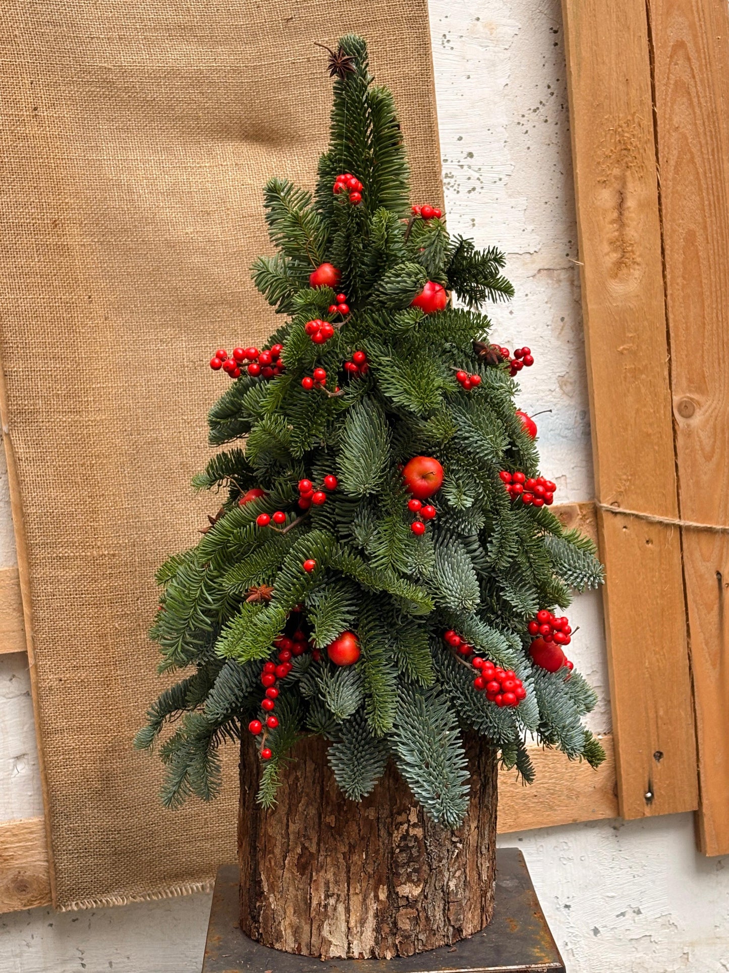 Albero di anice e meline - I fiori di Paesaggi