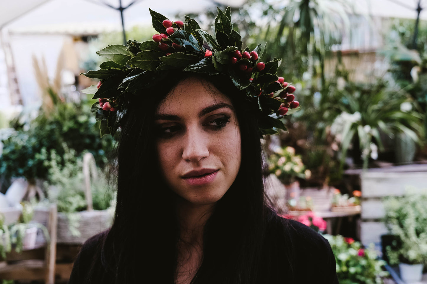 Coroncina di alloro fresco per laurea. - I fiori di Paesaggi