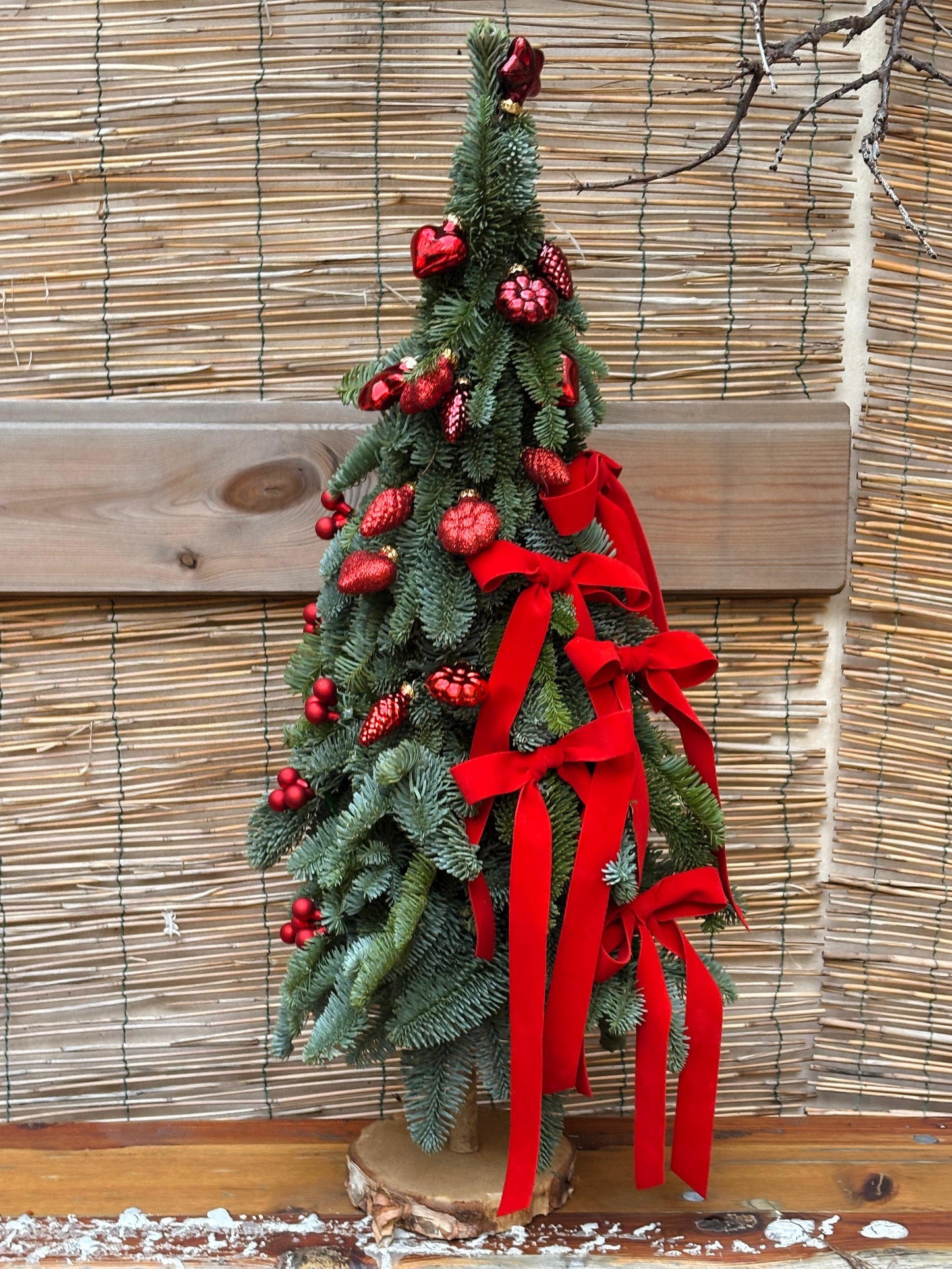 L'albero dei Fiocchi