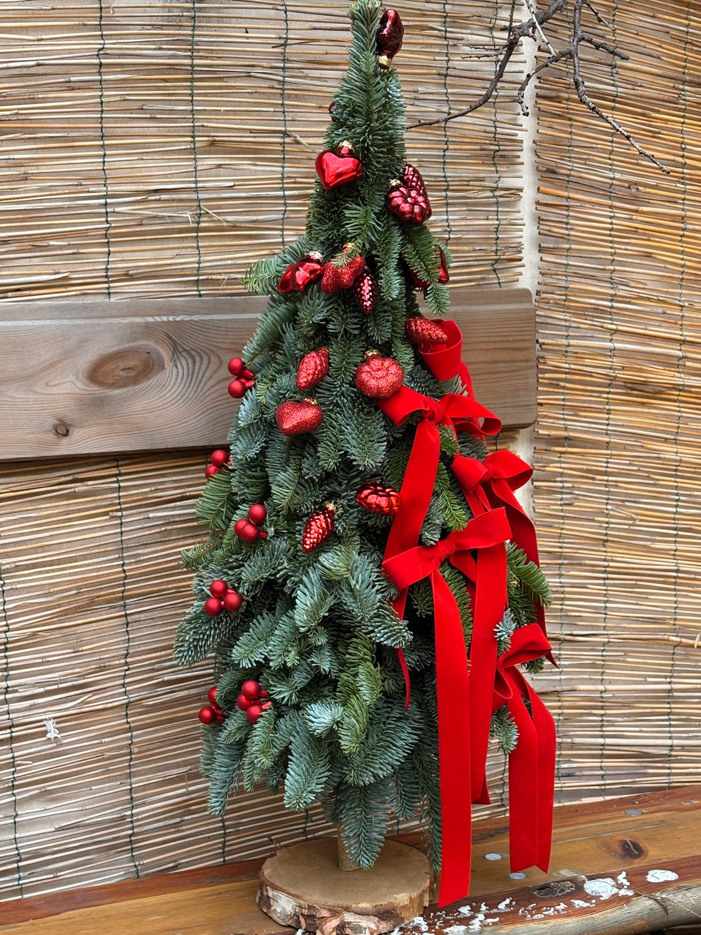 L'albero dei Fiocchi