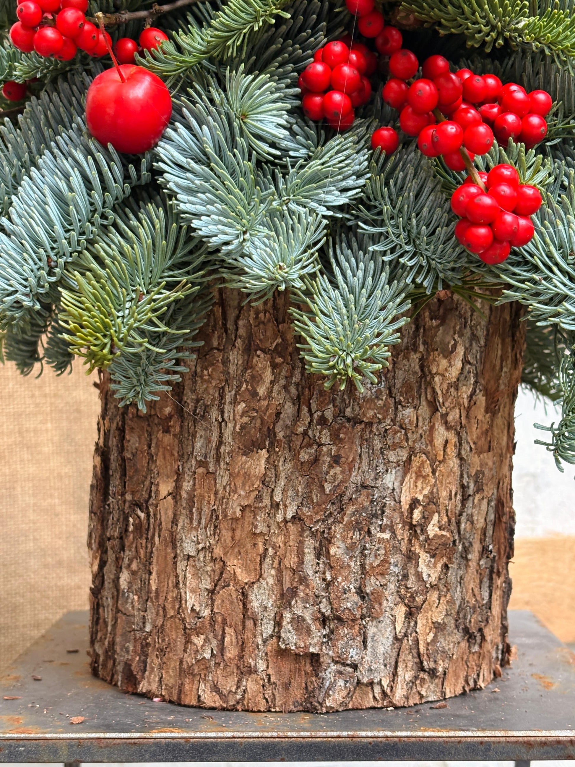 Albero di anice e meline - I fiori di Paesaggi