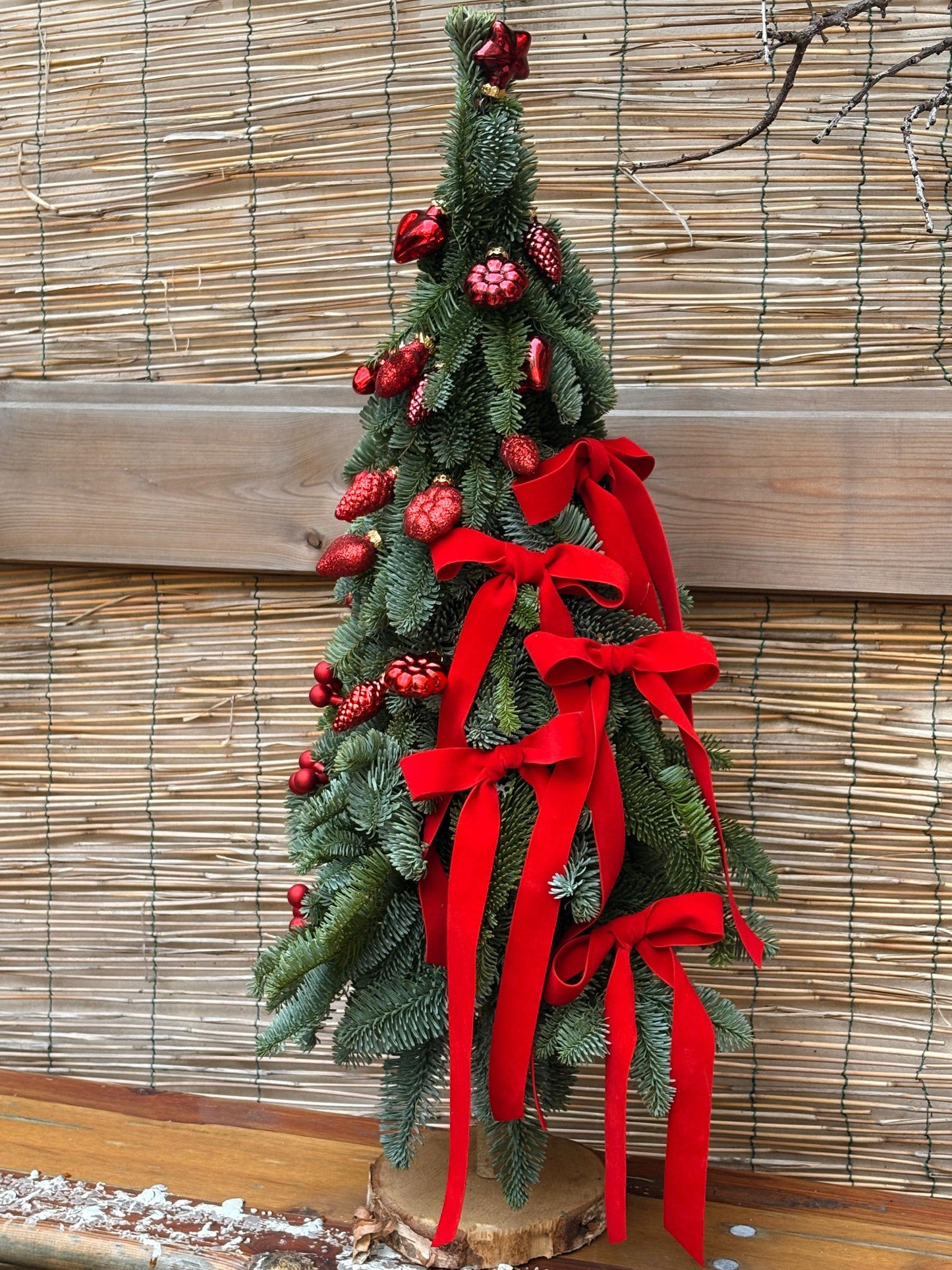 L'albero dei Fiocchi