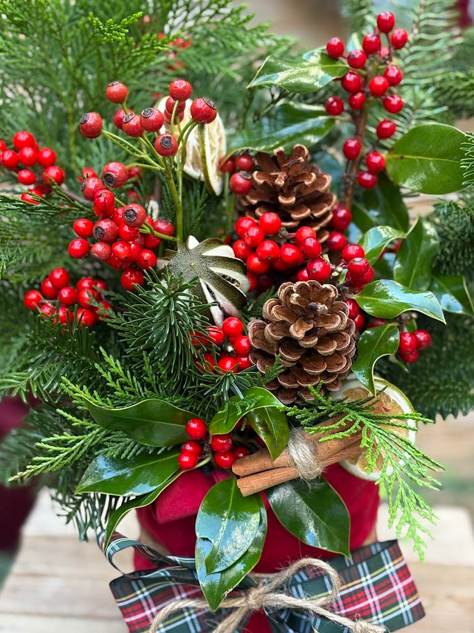 Il sushi di Natale - I fiori di Paesaggi