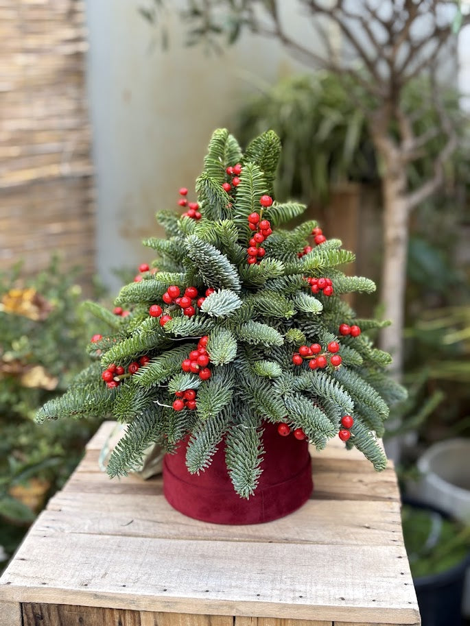Mini Albero di Natale - I fiori di Paesaggi