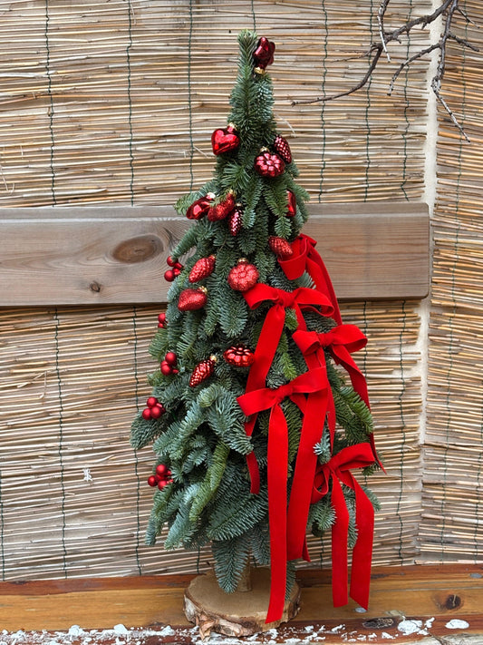 L'albero dei Fiocchi - I fiori di Paesaggi