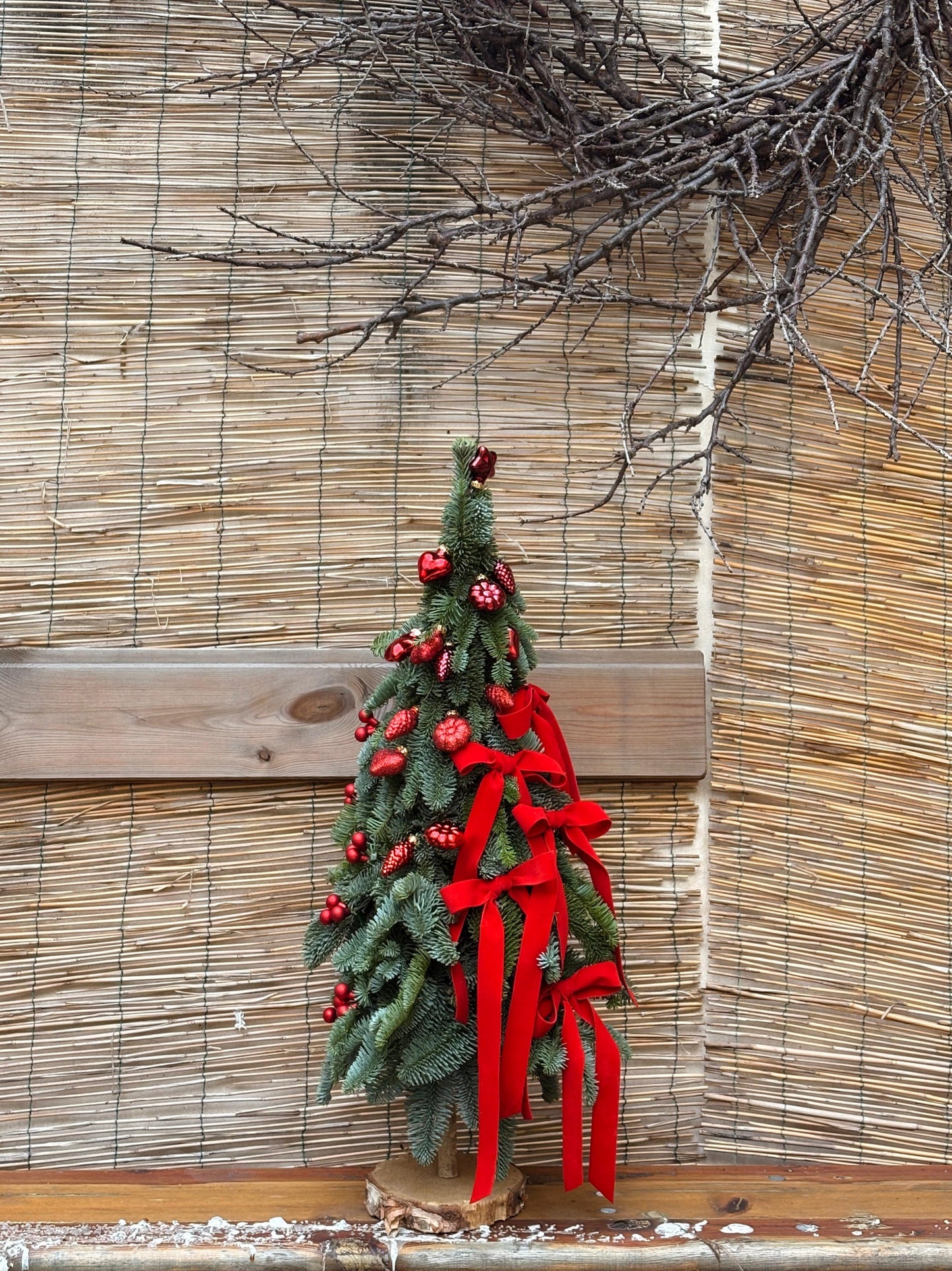 L'albero dei Fiocchi