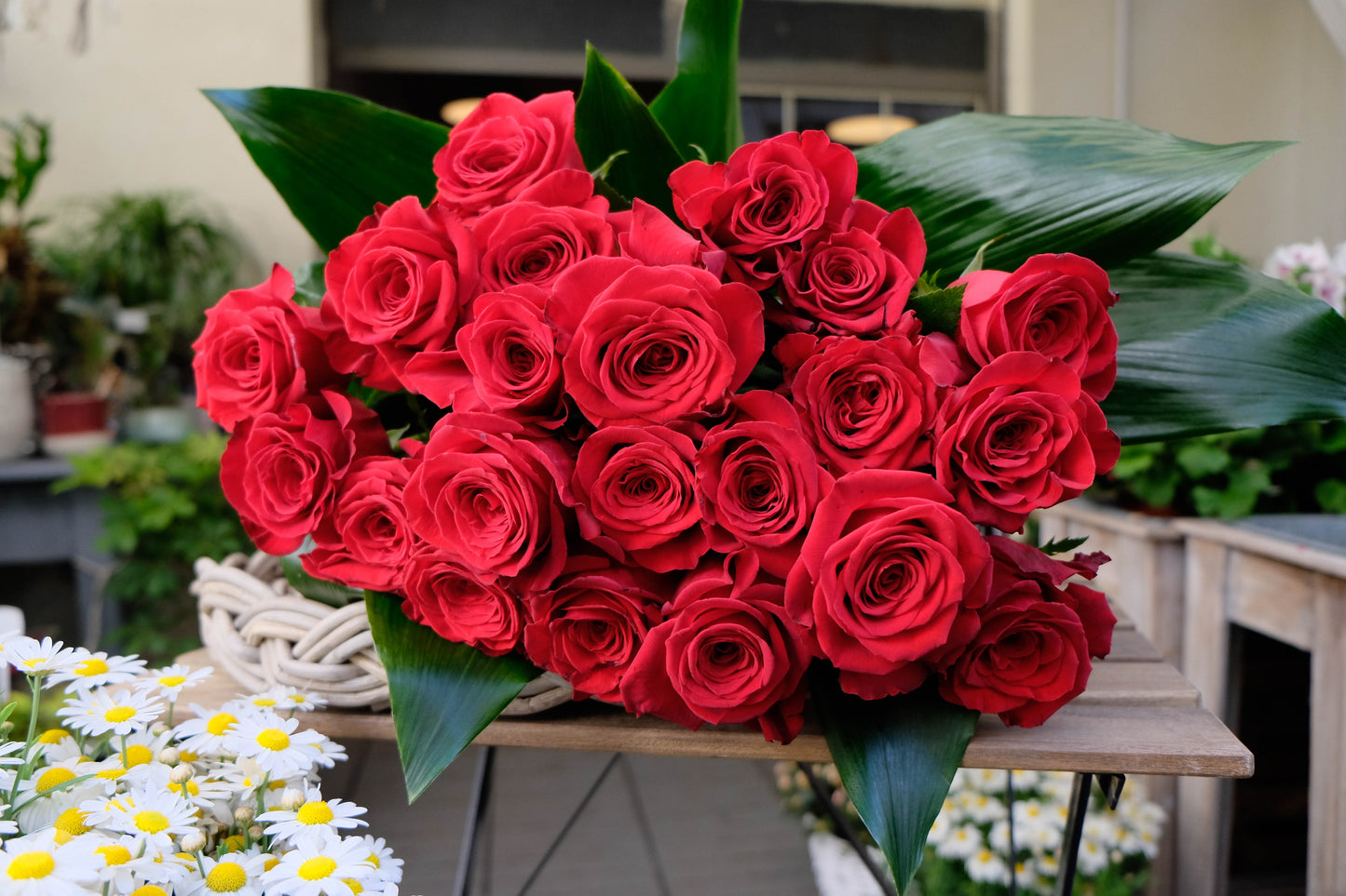 MAZZO DA 12 fiori di rose ed erba con fogliame e nebbiolina